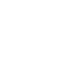 Expert Partnership Team