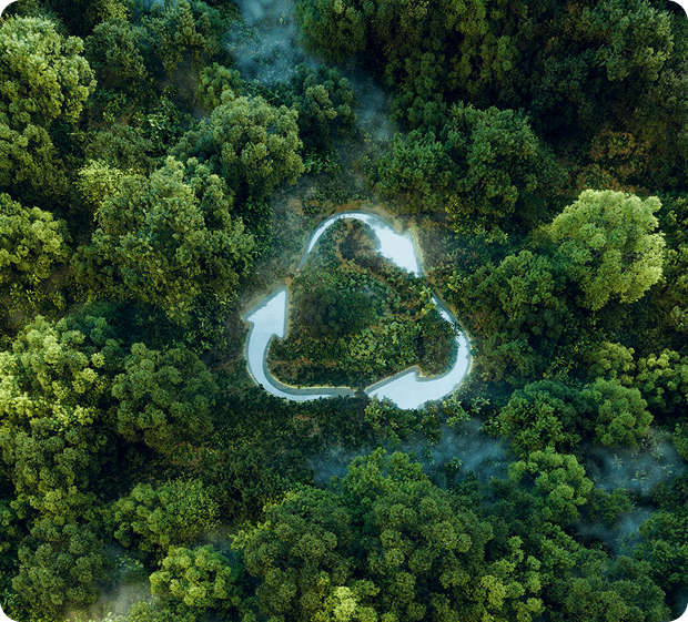 Recycling symbol in lush green forest.