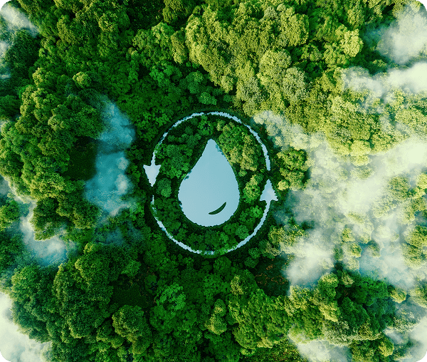 Forest canopy with water cycle symbol overlay.