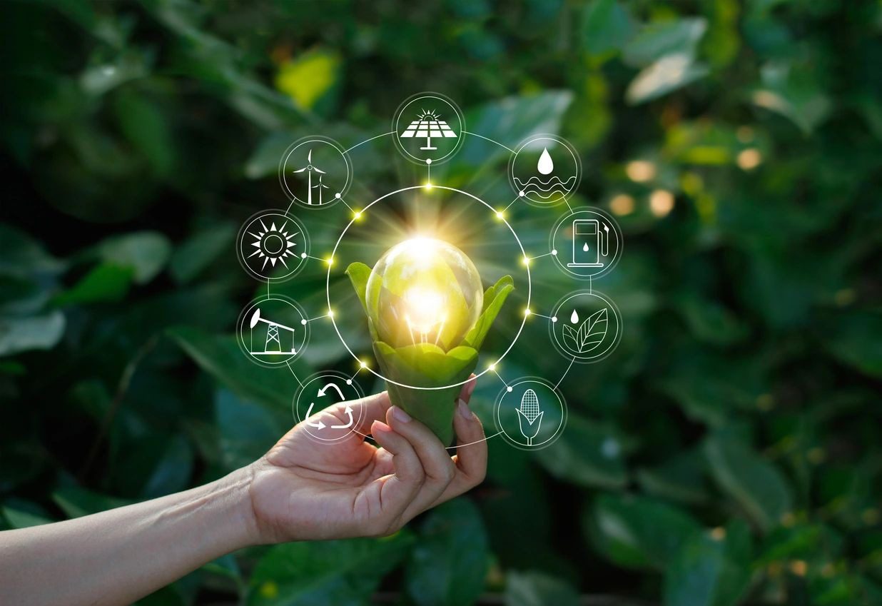 Hand holding a glowing orb with digital icons and nature background.